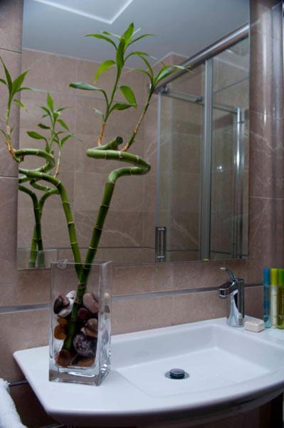 Hotel San Sebastian Hospederia เซียซา ภายนอก รูปภาพ